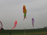 Artlenburg_2014_11_29_002