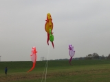 Artlenburg_2014_11_29_003