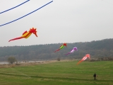 Artlenburg_2014_11_29_005