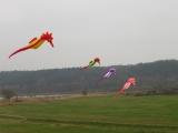 Artlenburg_2014_11_29_006