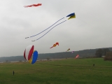 Artlenburg_2014_11_29_008