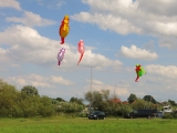 Seepferdchen Artlenburg