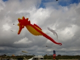 seepferdchen_fanoe_015