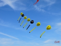 Smilies_Rattey