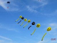 Smilies_Rattey