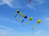 Smilies_Rattey