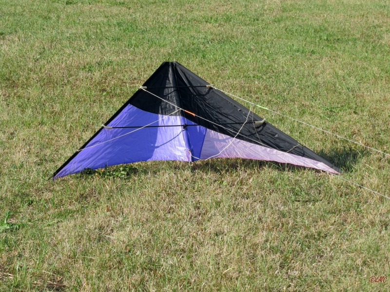 Alpha_Dart_001