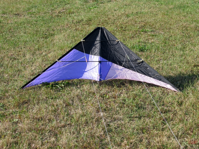 Alpha_Dart_002
