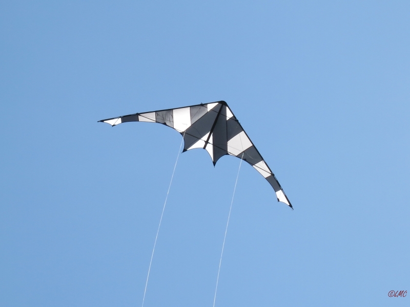Hot_Stripe_XL_03