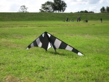 Hot_Stripe_XL_01