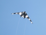 Hot_Stripe_XL_03