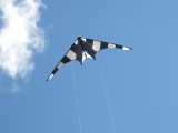 Hot_Stripe_XL_04