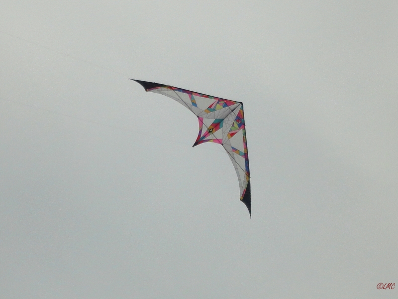 Long_Dart_Magnum_002