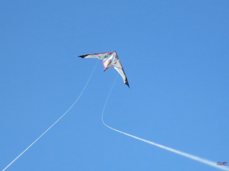 Long_Dart_Magnum_005
