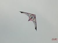 Long_Dart_Magnum_002