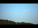 Long Dart Artlenburg