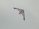 Long_Dart_Magnum_002