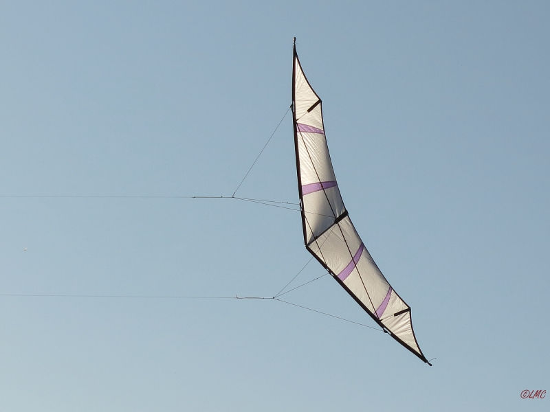 Hellwing_Alpha_UL_003