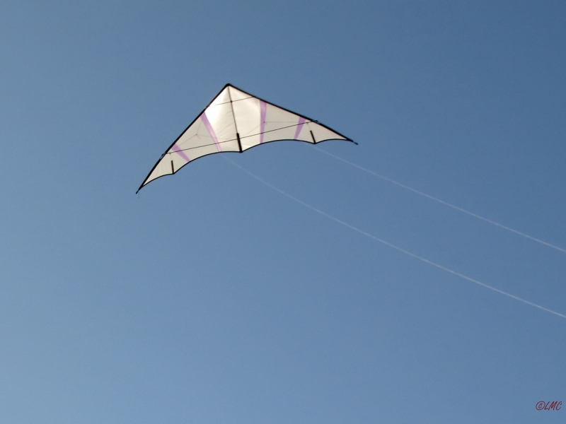 Hellwing_Alpha_UL_004
