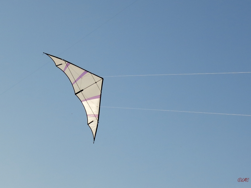 Hellwing_Alpha_UL_005