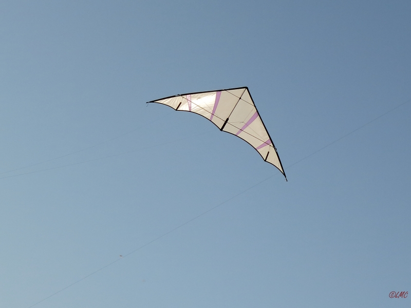 Hellwing_Alpha_UL_008
