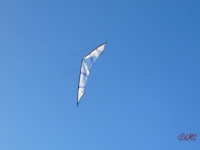 Hellwing_Alpha_UL_001