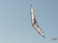 Hellwing_Alpha_UL_003