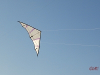 Hellwing_Alpha_UL_005
