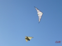 Hellwing_Alpha_UL_007