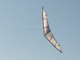 Hellwing_Alpha_UL_003