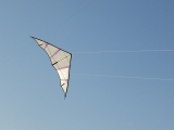 Hellwing_Alpha_UL_005