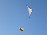 Hellwing_Alpha_UL_007