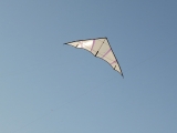 Hellwing_Alpha_UL_008