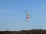 Hellwing_Alpha_UL_009