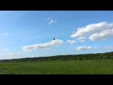 Lenas Lycos 2,5 Comp in Artlenburg 