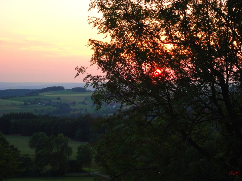 Rhoen_2011_017