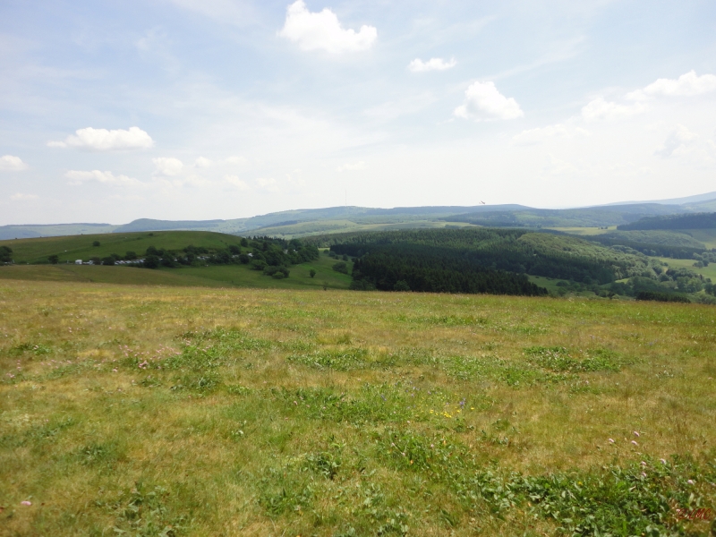 Rhoen_2011_019