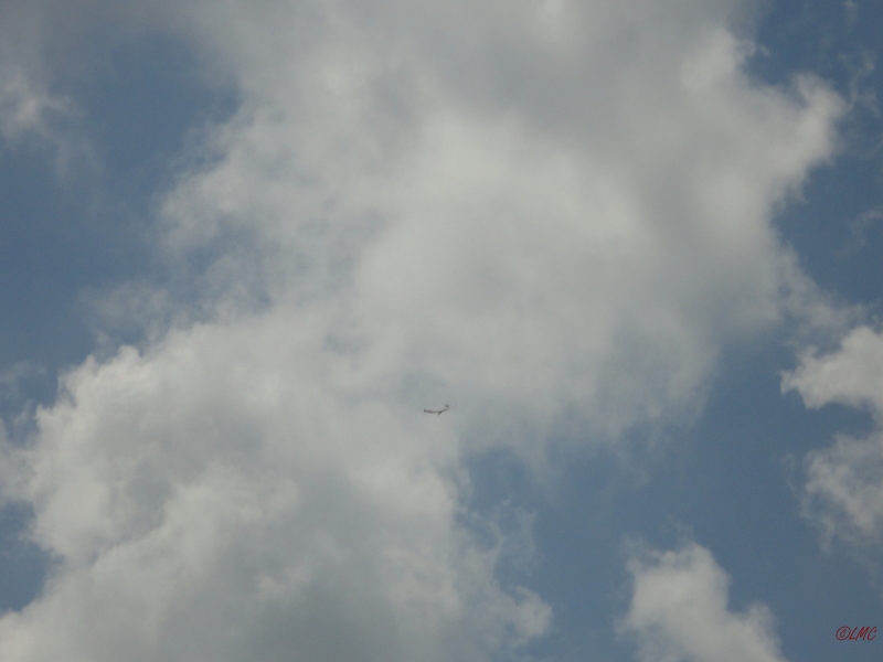 Rhoen_2011_053