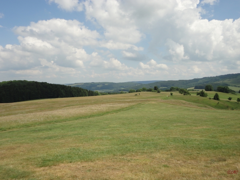 Rhoen_2011_056