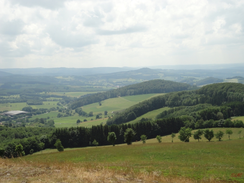 Rhoen_2011_060