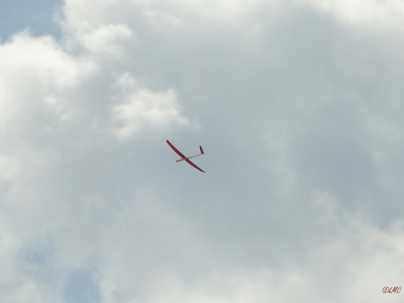 Rhoen_2011_065