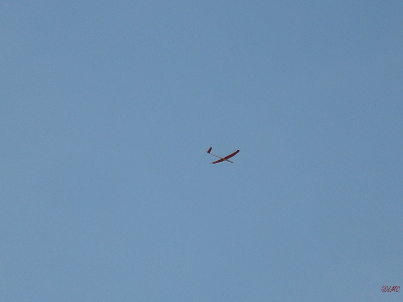 Rhoen_2011_067