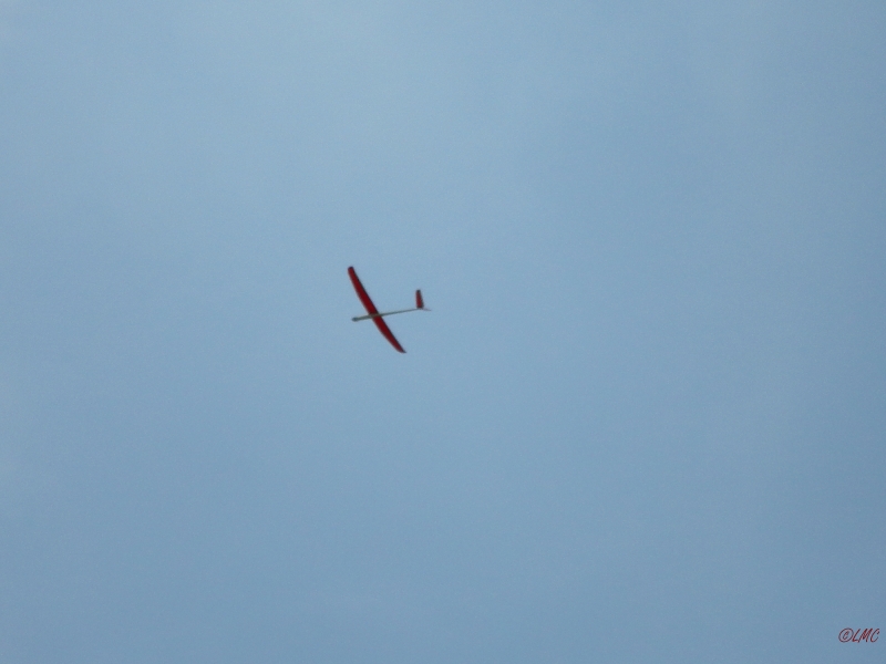 Rhoen_2011_068