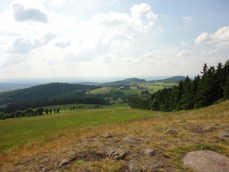 Rhoen_2011_093