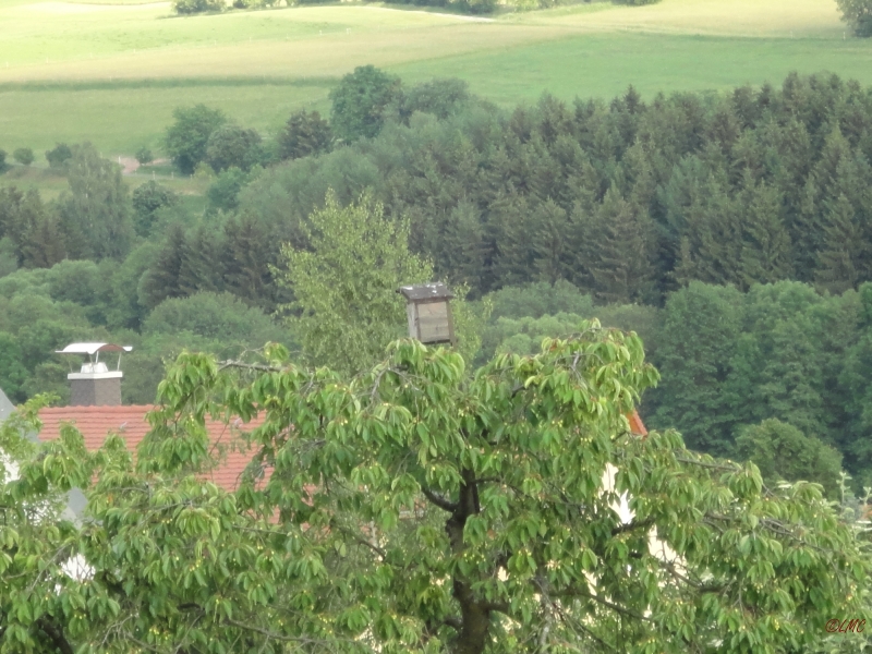Rhoen_2011_105