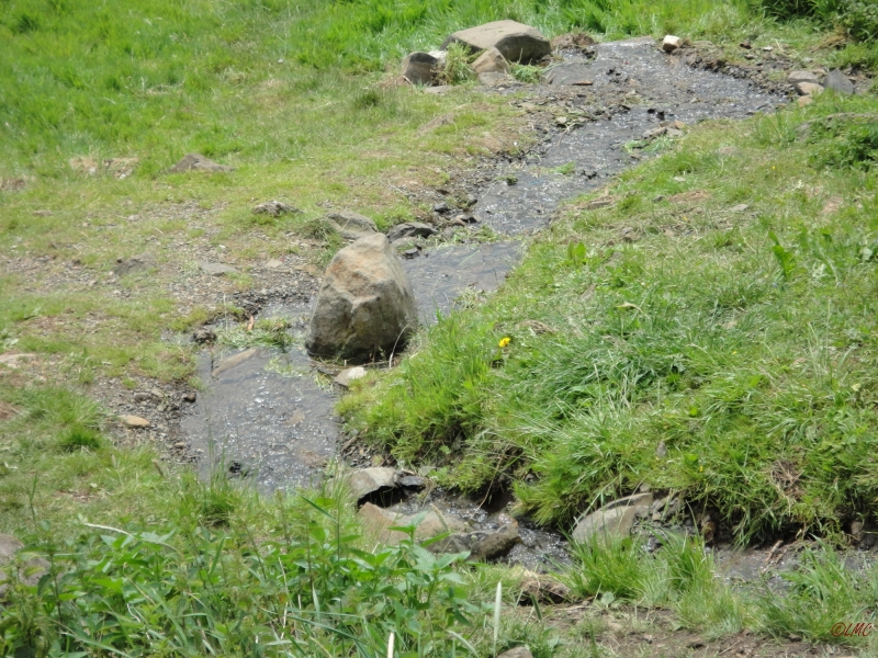 Rhoen_2011_110