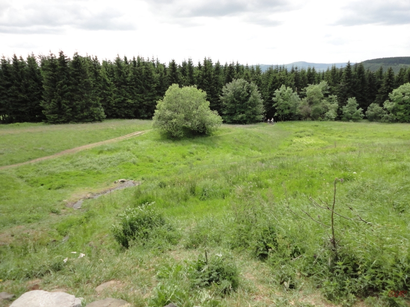 Rhoen_2011_111