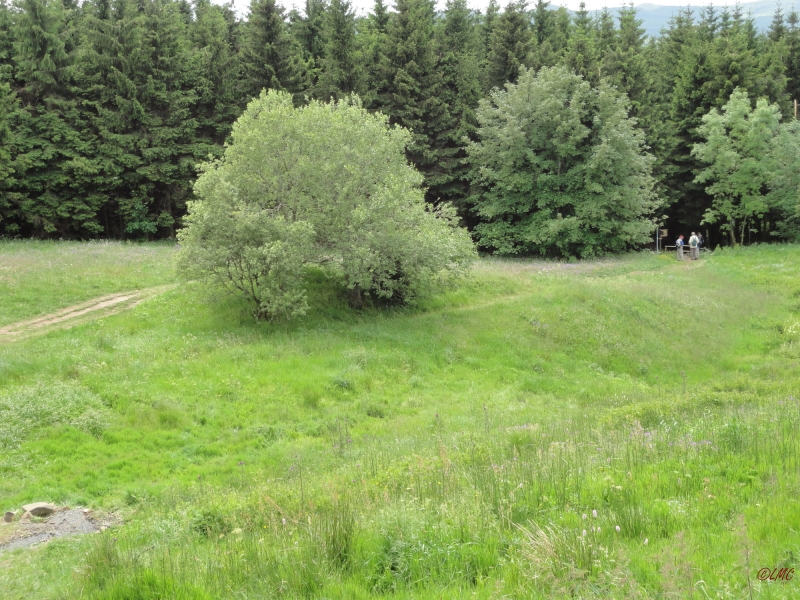 Rhoen_2011_112