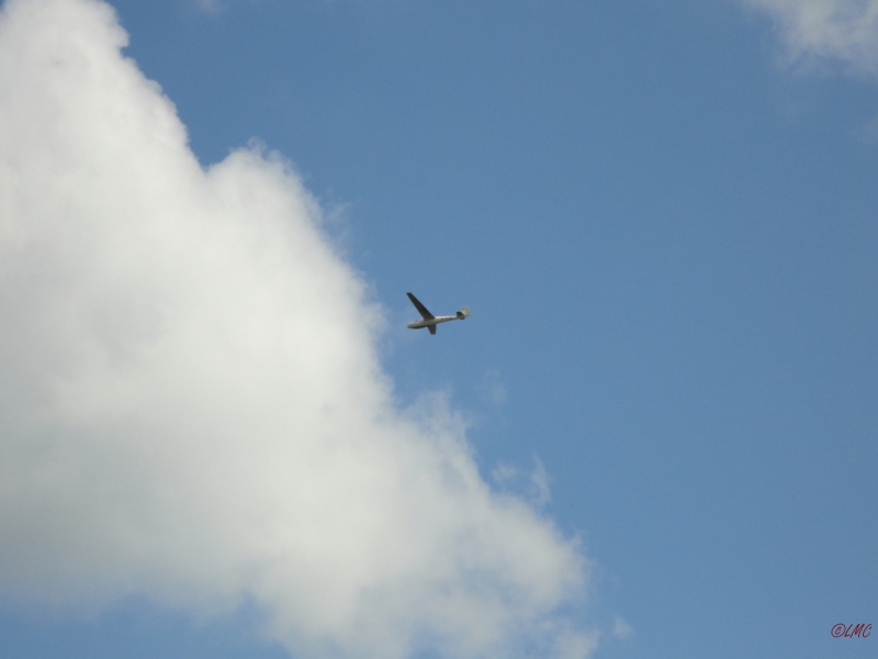 Rhoen_2011_128
