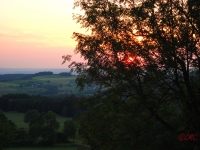 Rhoen_2011_017